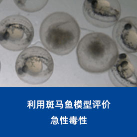 急性毒性...