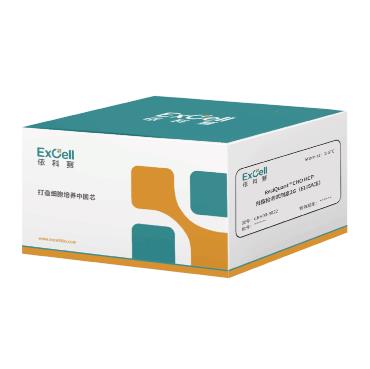 CHO HCP 残留检测试剂盒