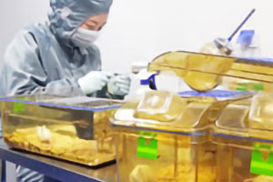 基础动物实验操作...